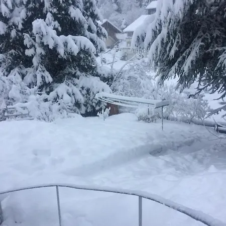 アパート Ferien Am Wald バイアースブロン