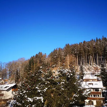 アパート Ferien Am Wald バイアースブロン