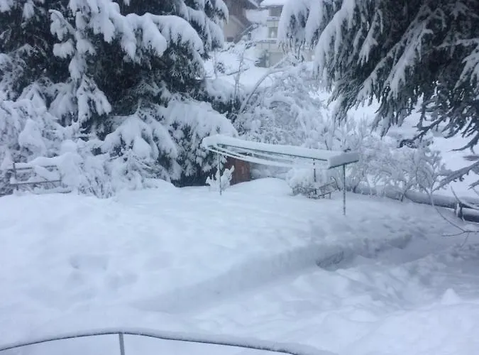 Appartement Ferien Am Wald Baiersbronn